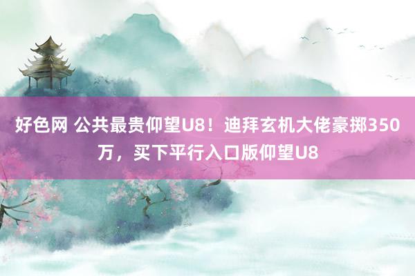 好色网 公共最贵仰望U8！迪拜玄机大佬豪掷350万，买下平行入口版仰望U8