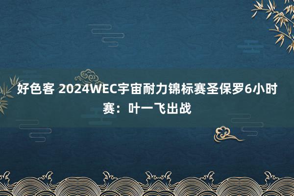 好色客 2024WEC宇宙耐力锦标赛圣保罗6小时赛：叶一飞出战