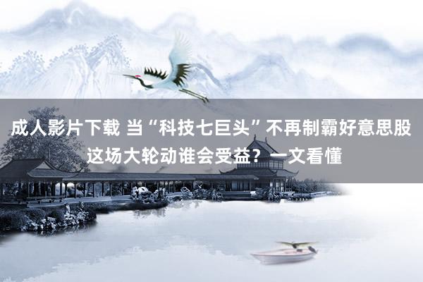 成人影片下载 当“科技七巨头”不再制霸好意思股 这场大轮动谁会受益？一文看懂