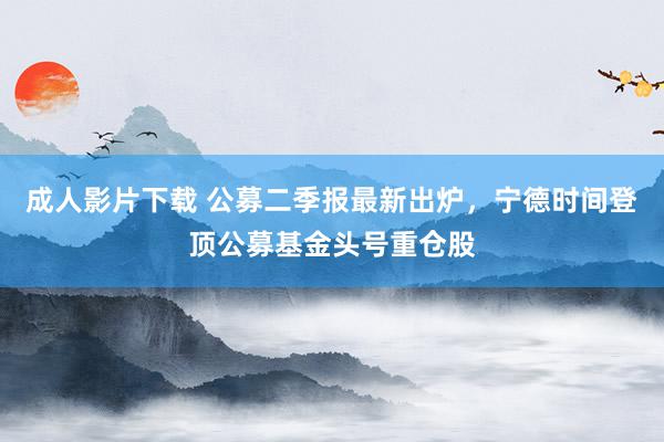 成人影片下载 公募二季报最新出炉，宁德时间登顶公募基金头号重仓股