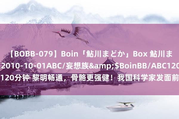 【BOBB-079】Boin「鮎川まどか」Box 鮎川まどか</a>2010-10-01ABC/妄想族&$BoinBB/ABC120分钟 黎明畅通，骨骼更强健！我国科学家发面前黎明老练可促进骨骼孕育