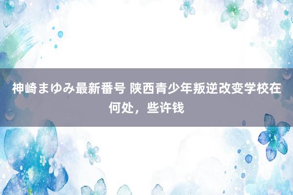 神崎まゆみ最新番号 陕西青少年叛逆改变学校在何处，些许钱