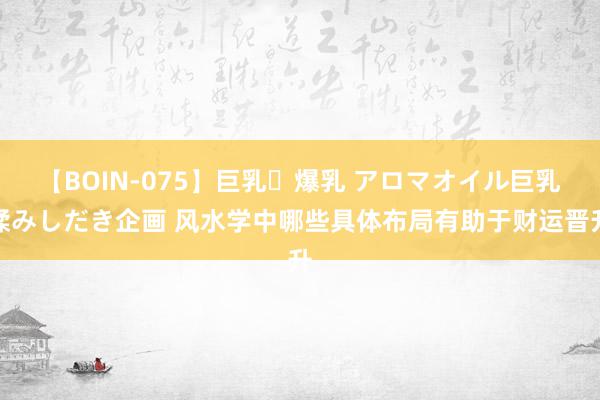 【BOIN-075】巨乳・爆乳 アロマオイル巨乳揉みしだき企画 风水学中哪些具体布局有助于财运晋升