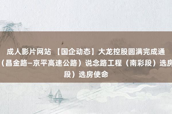 成人影片网站 【国企动态】大龙控股圆满完成通怀路（昌金路—京平高速公路）说念路工程（南彩段）选房使命