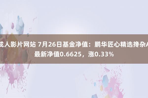 成人影片网站 7月26日基金净值：鹏华匠心精选搀杂A最新净值0.6625，涨0.33%