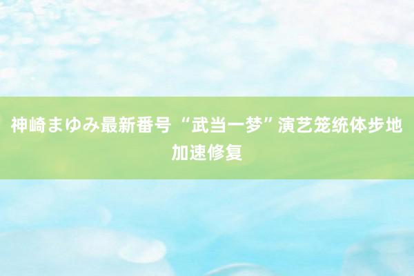 神崎まゆみ最新番号 “武当一梦”演艺笼统体步地加速修复