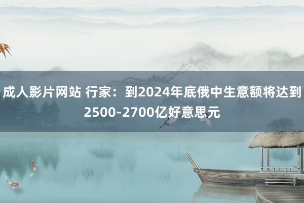 成人影片网站 行家：到2024年底俄中生意额将达到2500-2700亿好意思元