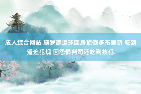 成人综合网站 施罗德运球回身顶倒多布里奇 吃到蹙迫犯规 因怨恨判罚还吃到技犯