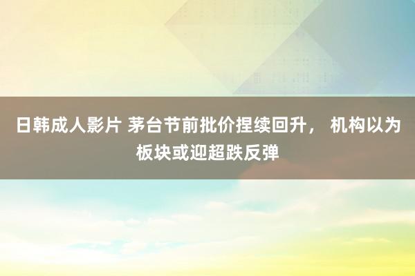 日韩成人影片 茅台节前批价捏续回升， 机构以为板块或迎超跌反弹