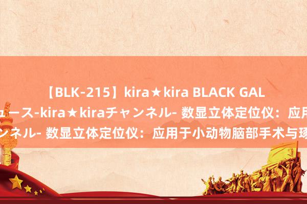 【BLK-215】kira★kira BLACK GAL 黒ギャル・EMIRIプロデュース-kira★kiraチャンネル- 数显立体定位仪：应用于小动物脑部手术与琢磨