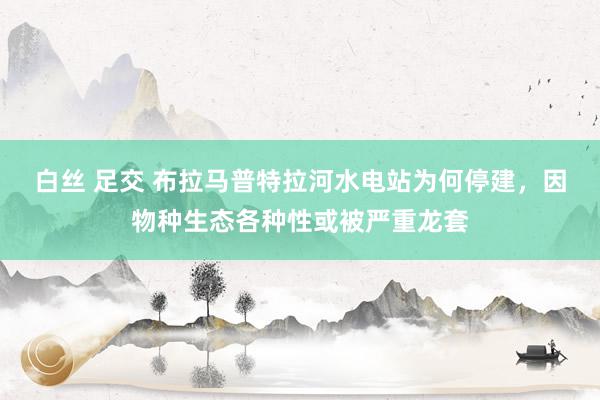 白丝 足交 布拉马普特拉河水电站为何停建，因物种生态各种性或被严重龙套