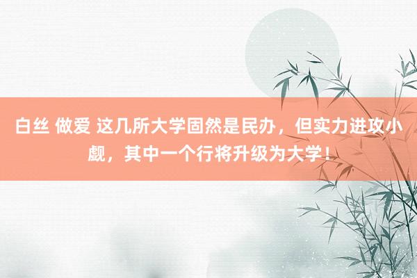 白丝 做爱 这几所大学固然是民办，但实力进攻小觑，其中一个行将升级为大学！