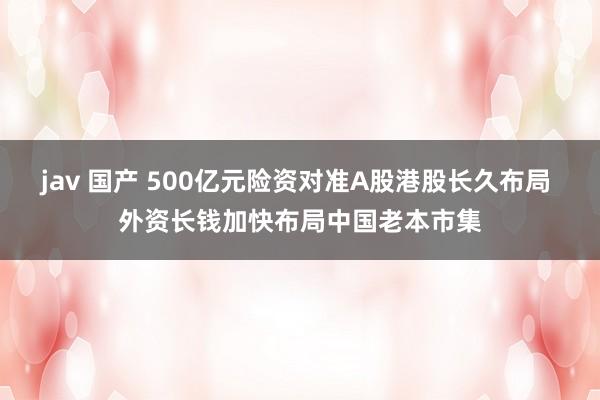 jav 国产 500亿元险资对准A股港股长久布局 外资长钱加快布局中国老本市集