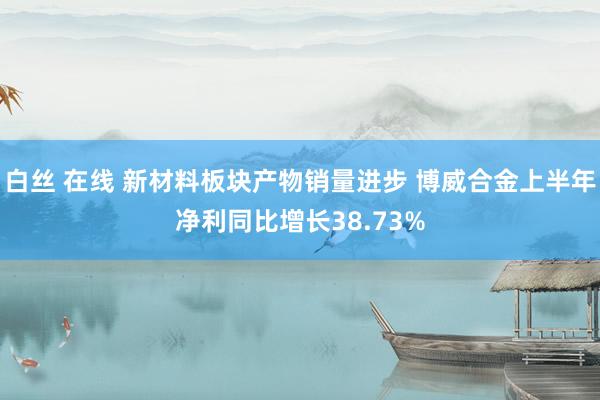 白丝 在线 新材料板块产物销量进步 博威合金上半年净利同比增长38.73%