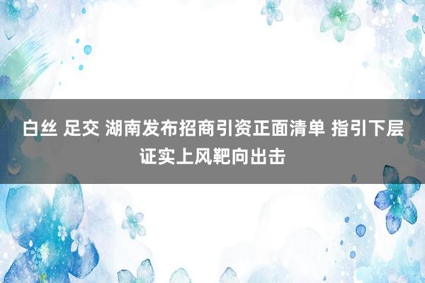 白丝 足交 湖南发布招商引资正面清单 指引下层证实上风靶向出击